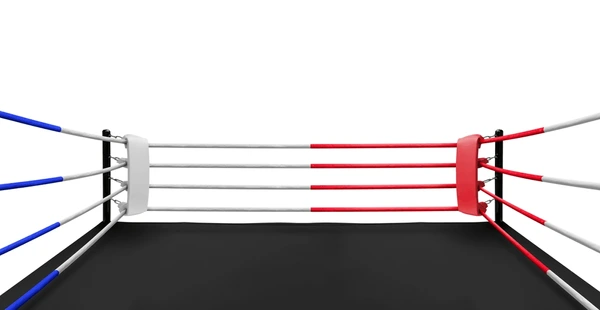 Accesorii Box - CORZI PT RING DE BOX