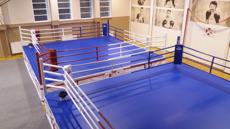 Suprafete de lupta/Dotari sala - COVORAS PT PODEA  RING DE BOX