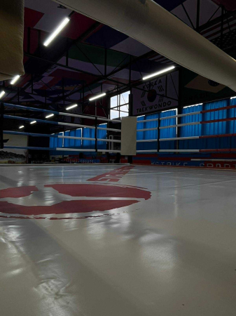 HUSA TIP PRELATA PT PROTECTIE TATAMI/SALTELE ARTE MARTIALE [8]