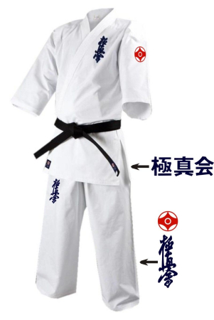 ArteMartiale/Karate/Kickboxing - KIMONO KYOKUSHIN KARATE PROFESIONAL CU 5 BRODERII