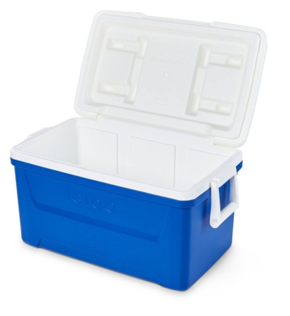 LADA FRIGORIFICA  IGLOO LAGUNA 45 LITRI [1]