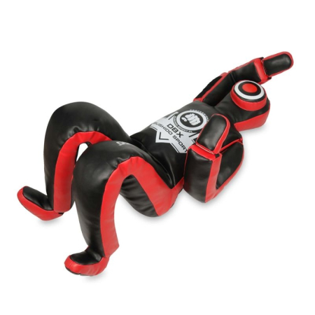 MANECHIN PT MMA SI BJJ [4]