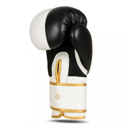 MANUSI BOX DBX UNDEFEATED [2]