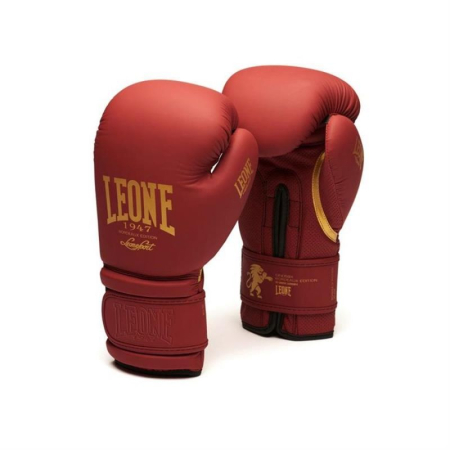 ANTRENAMENT ACASA - MANUSI BOX/KICKBOX LEONE BORDEAUX