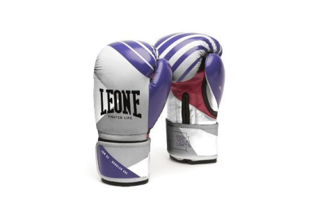 MANUSI BOX/KICKBOX LEONE FIGH LIFE [1]