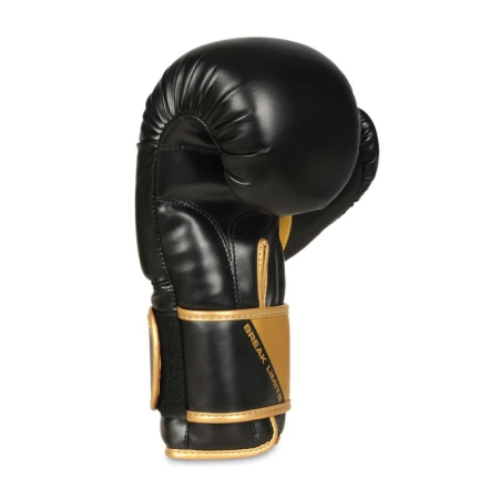 MANUSI BOX/SPARRING DBX BUSHIDO GOLDEN BOY [1]