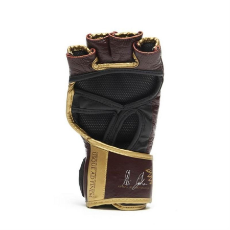 MANUSI MMA LEGIONARVUS II [2]