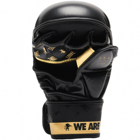 MANUSI MMA SPARRING LEONE DNA [3]
