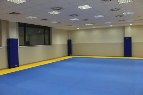 SALTEA JUDO TATAMI DELUXE 200X100X4CM [2]
