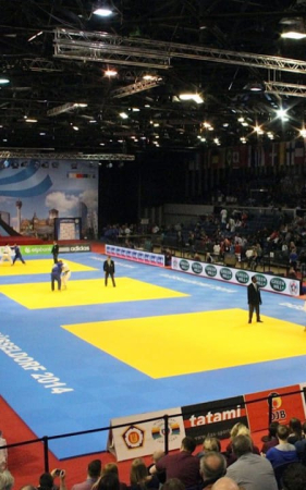 Suprafete de lupta/Dotari sala - SALTEA JUDO TATAMI DELUXE 200X100X4CM