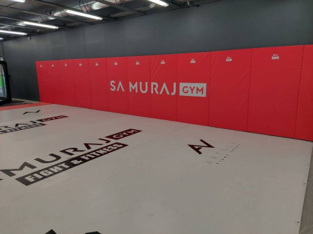 Suprafete de Lupta/Antrenament - SALTELE PROTECTIE PERETE PT SPORTURI DE LUPTA SAU DE ECHIPA 200X100X5 CM