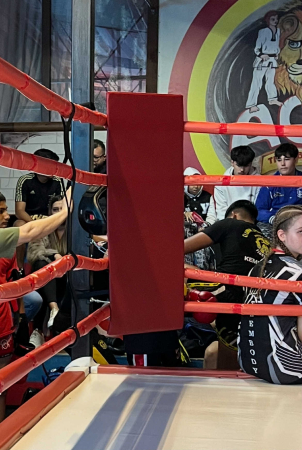 SET 4 PERNE COLT PT RING DE BOX 108x20x10 cm [3]