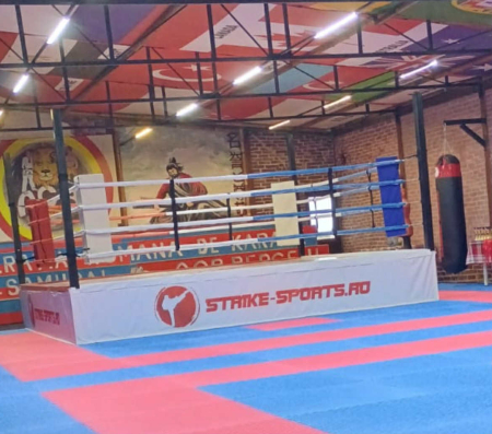 Accesorii Box - SET 4 PERNE COLT PT RING DE BOX 108x20x10 cm