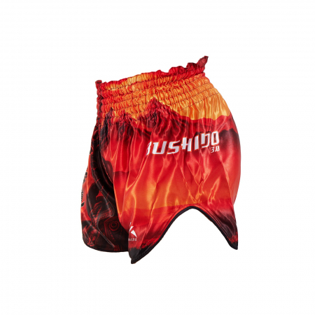 Sorturi Kickboxing / MMA - SHORT DE KICKBOXING ARMURA BUSHIDO 2.0