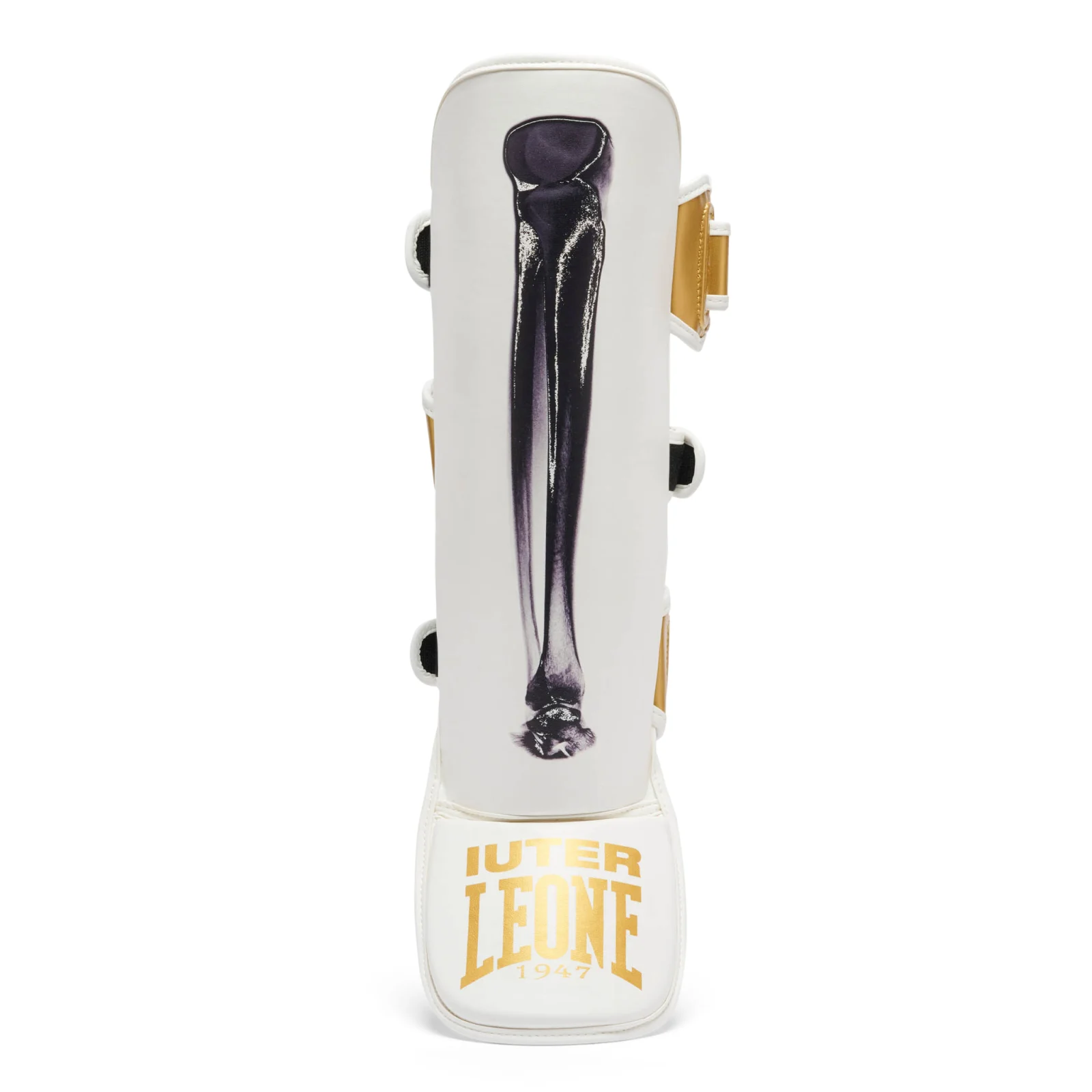 TIBIERE ARTE MARTIALE/KICBOX LEONE X IUTER ALBE [2]