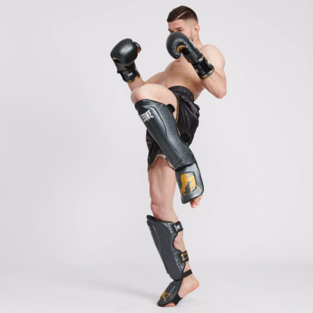 TIBIERE ARTE MARTIALE LEONE HERACLES [1]