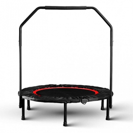 TRAMBULINA FITNESS 100CM [3]