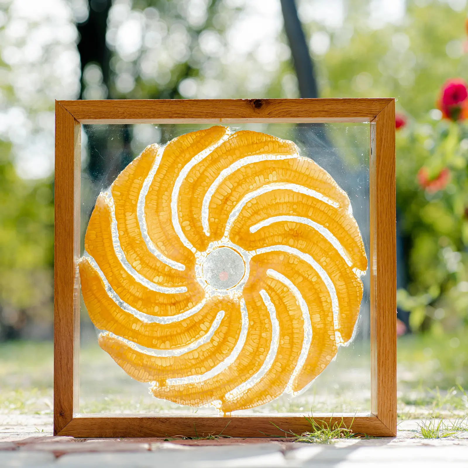 Fagure de miere - tablou 3D [6]