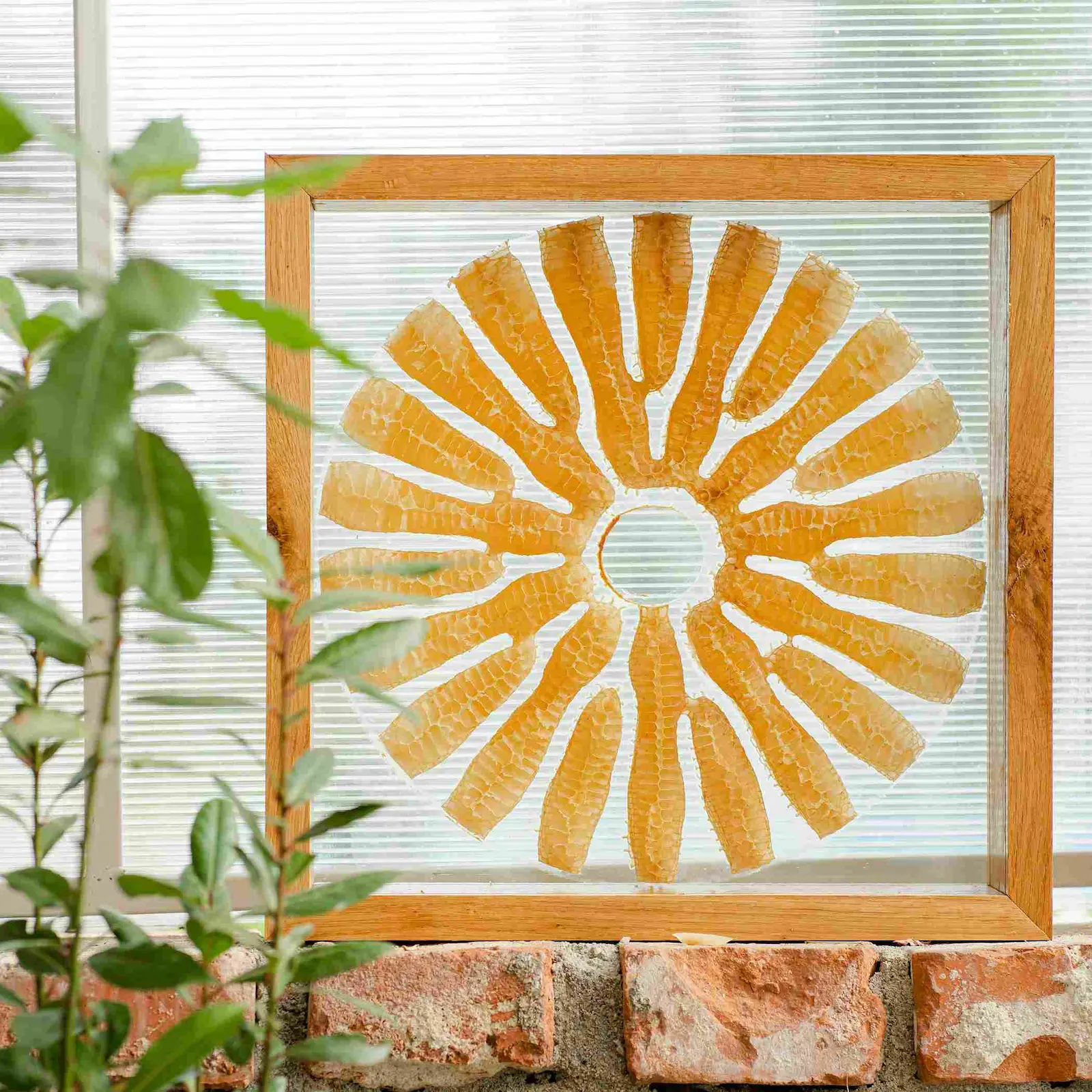 Fagure de miere - tablou 3D [5]