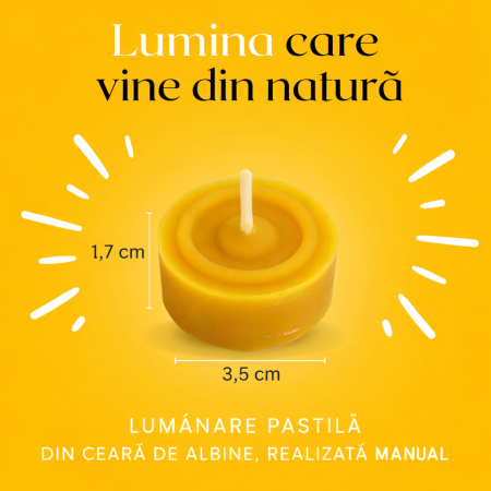 Set lumânări pentru sfeșnic și pastilă din ceară de albine [2]