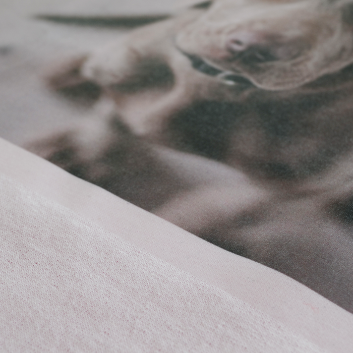 Forever Inkjet Transparent [5]