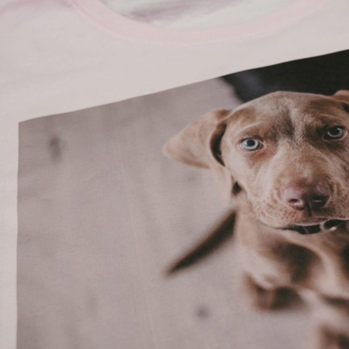 Forever Inkjet Transparent [4]