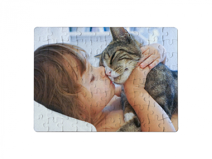 Puzzle din fetru ( pasla ) [2]