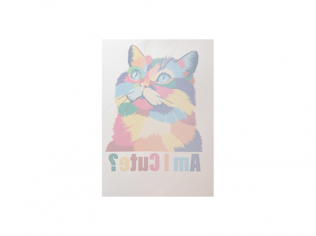 Folie imprimante DTF [5]