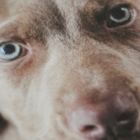 Forever Inkjet Transparent [1]