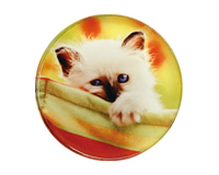 Magnet acryl sublimabil [1]