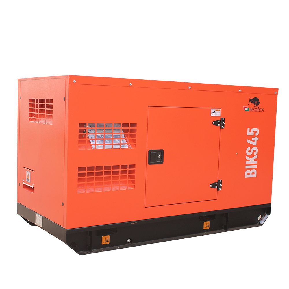 Generator curent 44 kVA BIKS45 Bisonte BT1009609 [6]