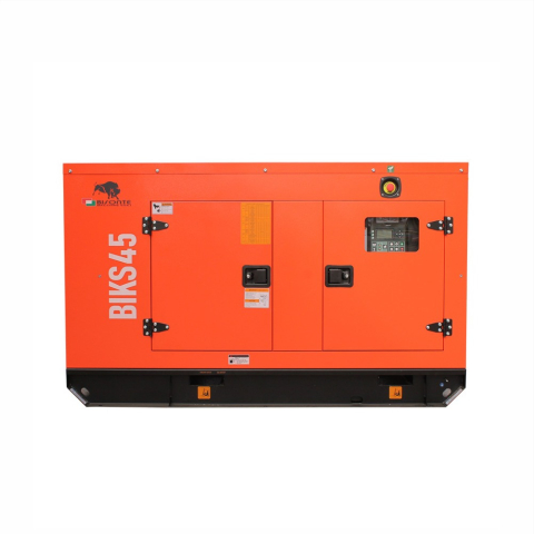 Generator curent 44 kVA BIKS45 Bisonte BT1009609 [4]