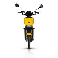 Scuter electric RAINBOW-X1,Fara permis, motor 1000W.25 km/h [3]