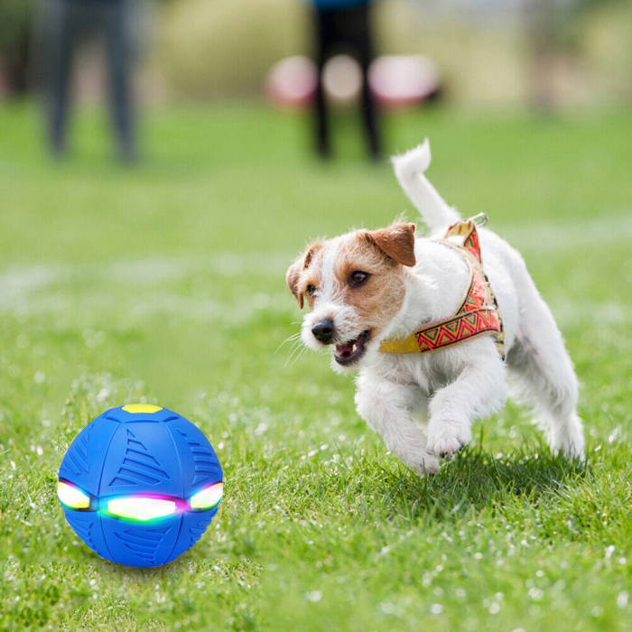 Jucarie Mingea Magica, UFO FlyBall™ cu 6 LED-uri, tip OZN pentru joaca in Familie  sau cu Animale Domestice -Albastru [9]