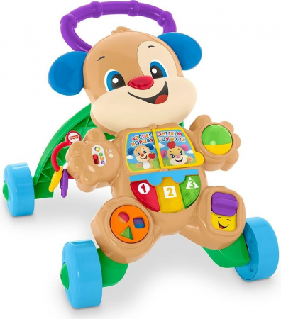 Antemergator Interactiv cu Functii in Limba Romana , Catelus cu Multiple  Activitati pentru Copii, Fisher Price, Multicolor [1]