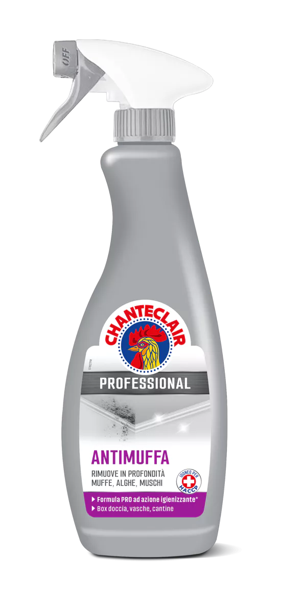 Degresant universal - CHANTE CLAIR SPRAY PROFESSIONAL ANTIMUFFA 700 ML