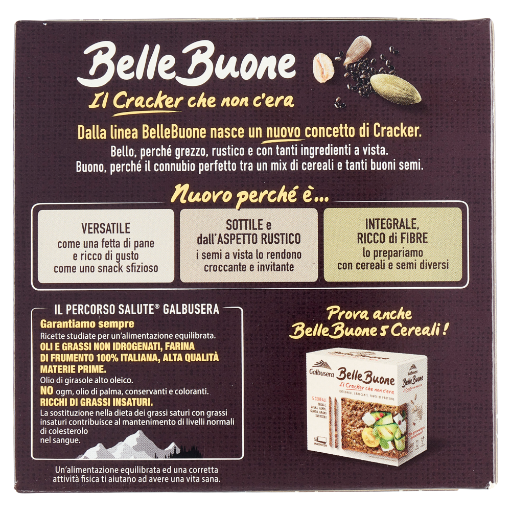 CRACKER GALBUSERA BELLE BUONE 200G [1]