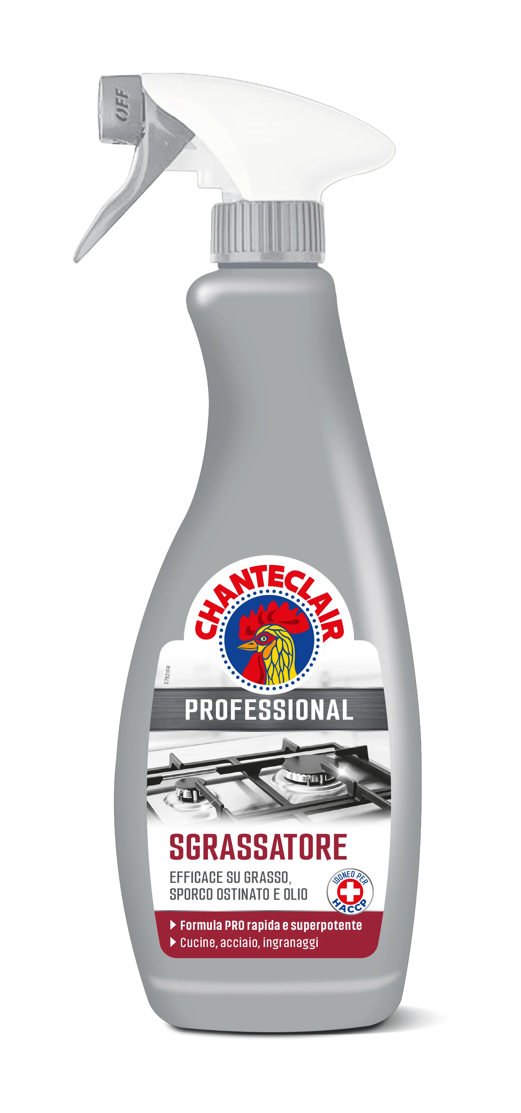 Degresant universal - DEGRESANT CHANTE CLAIR SPRAY PROFESSIONAL UNIVERSAL 700 ML