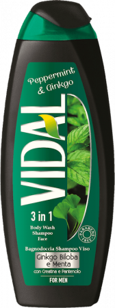 GEL DE DUS VIDAL GINKGO BILOBA E MENTA 500ML [0]