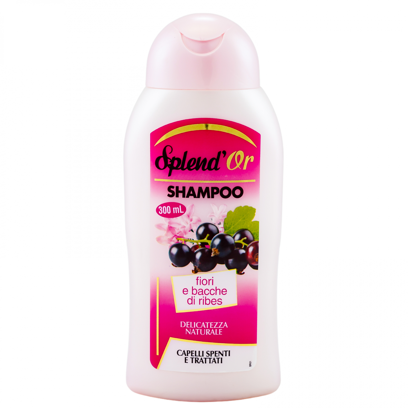 Product Image for Sampon Splend or Delicatezza Naturale Ribes 300ml
