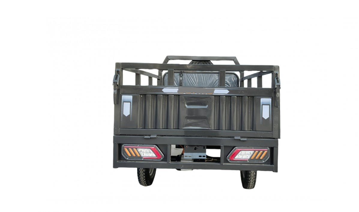 Triciclu electric cargo fara permis [5]