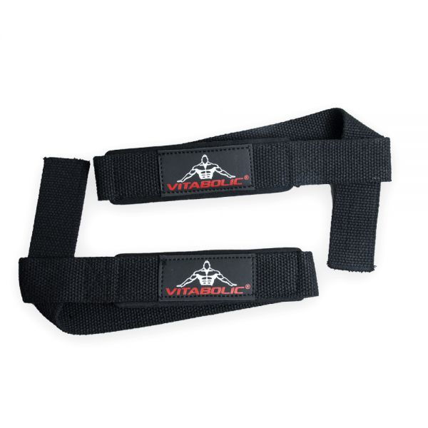 Chingi captusite, Vitabolic [3]