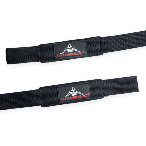 Chingi captusite, Vitabolic [6]