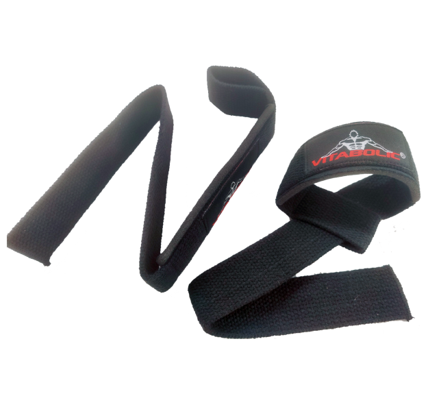 Chingi captusite, Vitabolic [4]