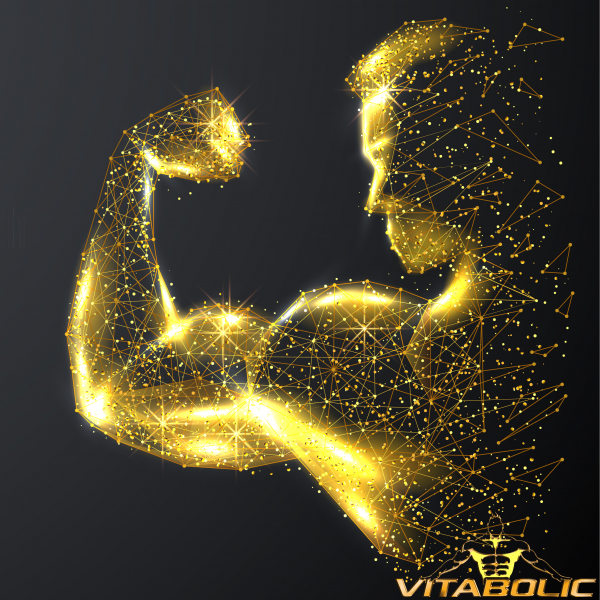 Pre-workout fara cofeina, Vitabolic, Ground Zero VasoPump, 500 de grame, pudra [4]