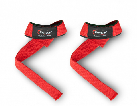 Accesorii - Chingi, Genius Nutrition