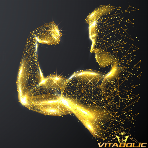Pre-workout fara cofeina, Vitabolic, Ground Zero VasoPump, 500 de grame, pudra [3]