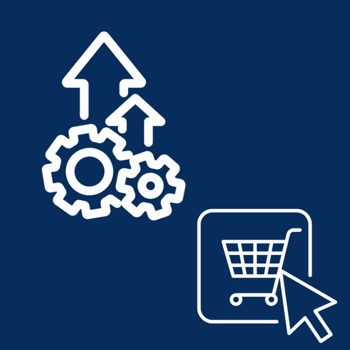 Ofertă personalizată pentru magazine online [1]