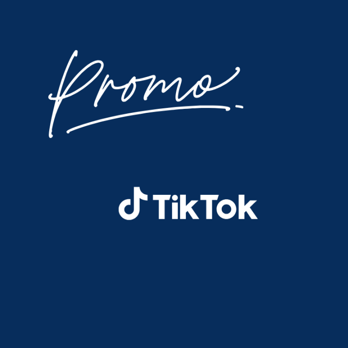 Promovare PPC - TikTok [1]