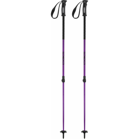 Ski - BETE TURA FACTION AGENT PURPLE 2023